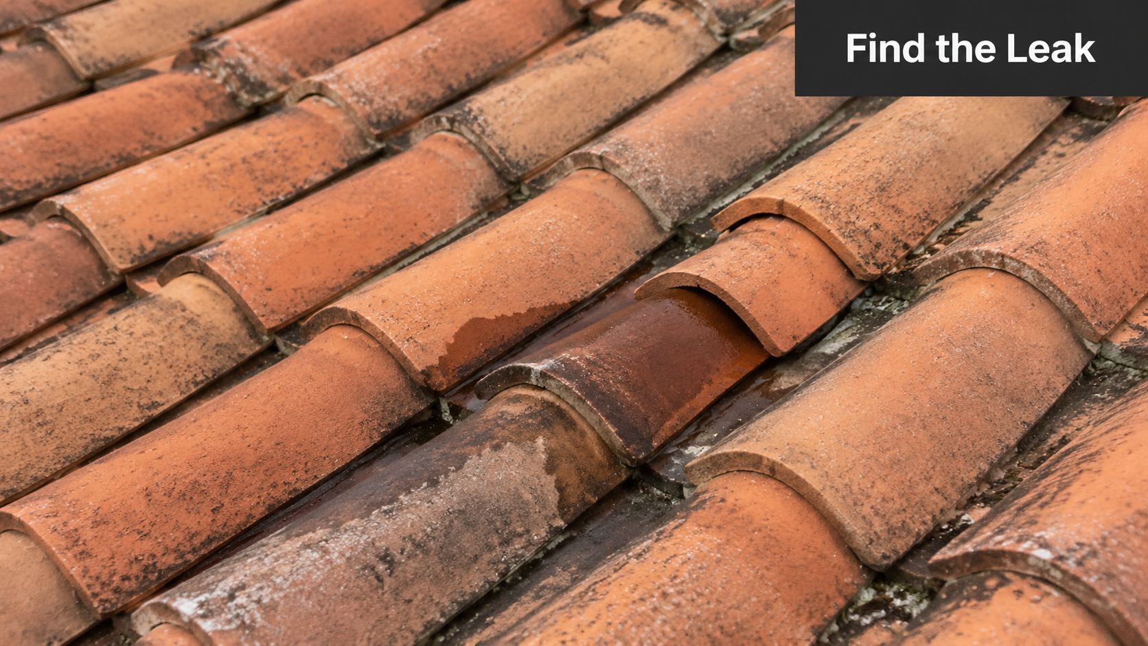 A close-up view of weathered orange clay roof tiles showing signs of water damage and potential leaks.